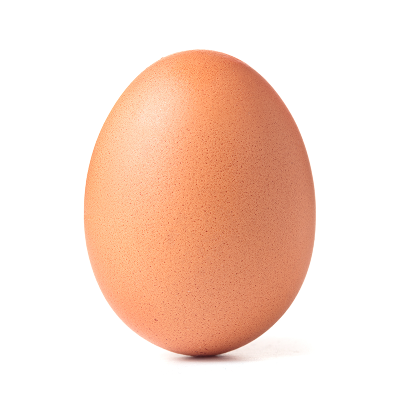 egg