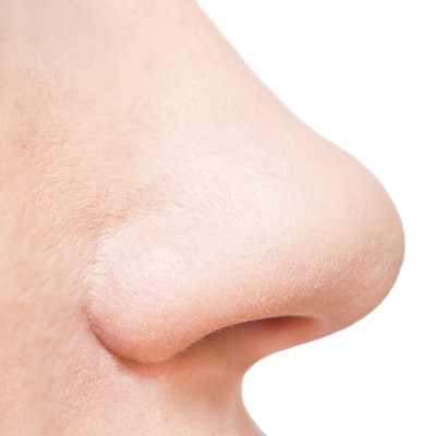 nose